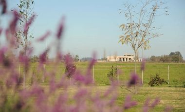 Quinta en venta en Cañuelas