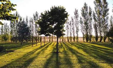Quinta en venta en Cañuelas