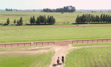 Quinta en venta en Cañuelas