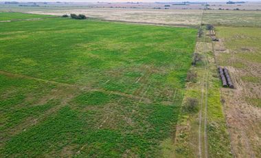 CAMPO EN VENTA 104 HECTAREASMIXTO CEPEDA