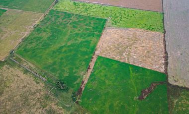 CAMPO EN VENTA 104 HECTAREASMIXTO CEPEDA