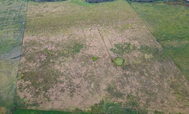 CAMPO EN VENTA 104 HECTAREASMIXTO CEPEDA