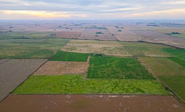 CAMPO EN VENTA 104 HECTAREASMIXTO CEPEDA