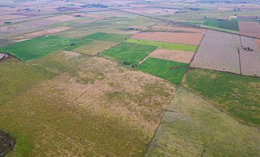 CAMPO EN VENTA 104 HECTAREASMIXTO CEPEDA