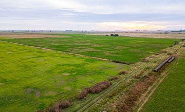 CAMPO EN VENTA 104 HECTAREASMIXTO CEPEDA