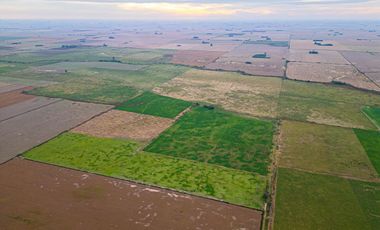 CAMPO EN VENTA 104 HECTAREASMIXTO CEPEDA