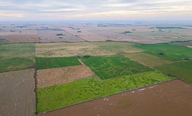 CAMPO EN VENTA 104 HECTAREASMIXTO CEPEDA