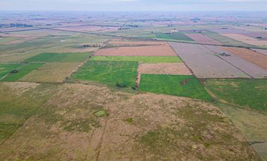 CAMPO EN VENTA 104 HECTAREASMIXTO CEPEDA