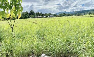 FOR SALE. RESIDENTIAL LOT for sale in Libertad with an Area of 2,422 sqm