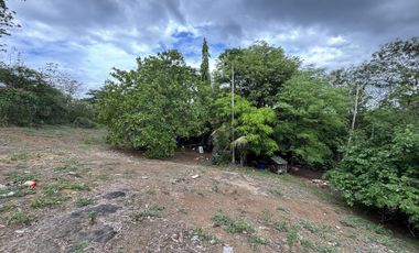 Begonia Drive, Beverly Hills Subdivision vacant lot