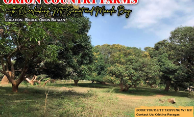 Orion Country Farms Lot For Sale in Barangay Bilolo, Orion, Bataan