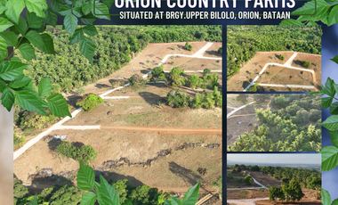 Orion Country Farms Lot For Sale in Barangay Bilolo, Orion, Bataan