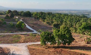 Orion Country Farms Lot For Sale in Barangay Bilolo, Orion, Bataan