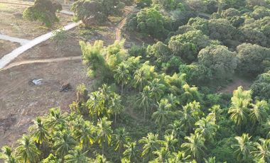 Orion Country Farms Lot For Sale in Barangay Bilolo, Orion, Bataan