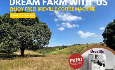 Orion Country Farms Lot For Sale in Barangay Bilolo, Orion, Bataan