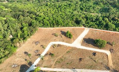 Orion Country Farms Lot For Sale in Barangay Bilolo, Orion, Bataan