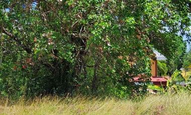 363 Sqm SEA VIEW CORNER Residential Lot Club Morocco, Cawag, Subic, Zambales