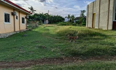300sqm clean title lot in songculan Dauis Panglao Bohol 3500 per sqm