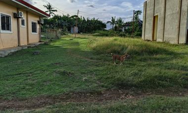300sqm clean title lot in songculan Dauis Panglao Bohol 3500 per sqm
