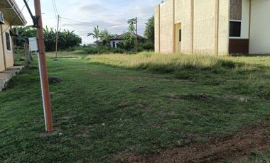 300sqm clean title lot in songculan Dauis Panglao Bohol 3500 per sqm