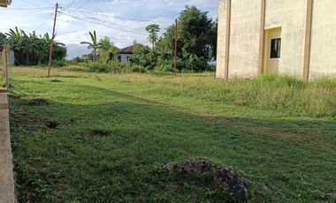 300sqm clean title lot in songculan Dauis Panglao Bohol 3500 per sqm
