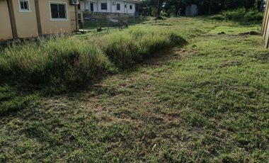 300sqm clean title lot in songculan Dauis Panglao Bohol 3500 per sqm