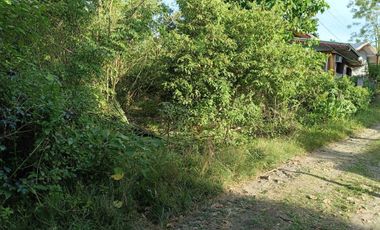 400sqm clean title lot in Tabalong Dauis Panglao Bohol 3500 per sqm