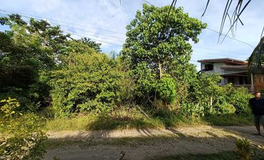 400sqm clean title lot in Tabalong Dauis Panglao Bohol 3500 per sqm
