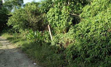 400sqm clean title lot in Tabalong Dauis Panglao Bohol 3500 per sqm