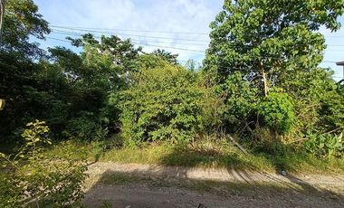 400sqm clean title lot in Tabalong Dauis Panglao Bohol 3500 per sqm