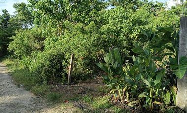 400sqm clean title lot in Tabalong Dauis Panglao Bohol 3500 per sqm
