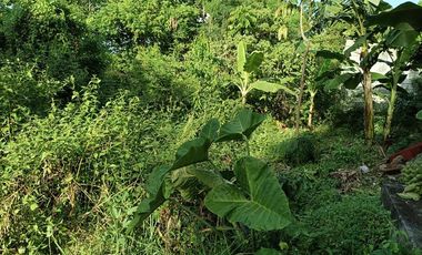 400sqm clean title lot in Tabalong Dauis Panglao Bohol 3500 per sqm