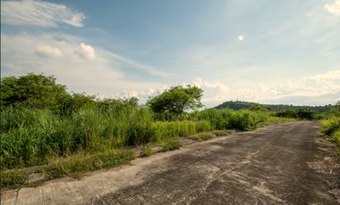 204 sqm Residential Lot for Sale in Bilibiran, Binangonan, Rizal