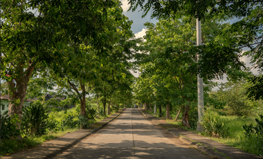 204 sqm Residential Lot for Sale in Bilibiran, Binangonan, Rizal