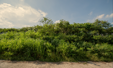 204 sqm Residential Lot for Sale in Bilibiran, Binangonan, Rizal