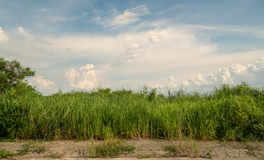 204 sqm Residential Lot for Sale in Bilibiran, Binangonan, Rizal