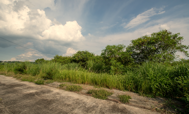204 sqm Residential Lot for Sale in Bilibiran, Binangonan, Rizal