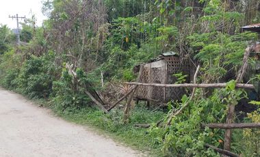 Sale 650sqm clean title lot Tawala Panglao Bohol Walking distance to Alona beach