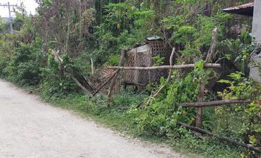 Sale 650sqm clean title lot Tawala Panglao Bohol Walking distance to Alona beach