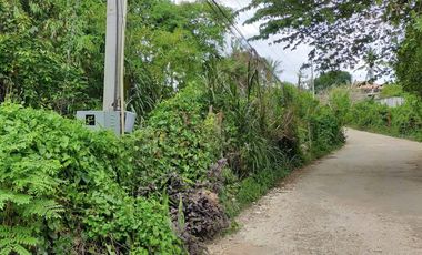 Sale 650sqm clean title lot Tawala Panglao Bohol Walking distance to Alona beach