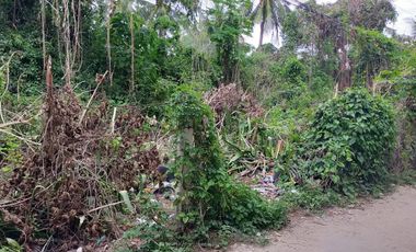 Sale 650sqm clean title lot Tawala Panglao Bohol Walking distance to Alona beach