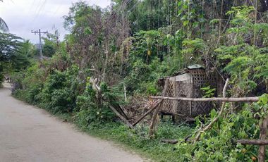 Sale 650sqm clean title lot Tawala Panglao Bohol Walking distance to Alona beach