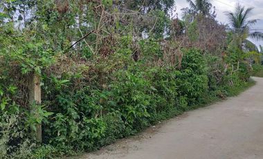 Sale 650sqm clean title lot Tawala Panglao Bohol Walking distance to Alona beach