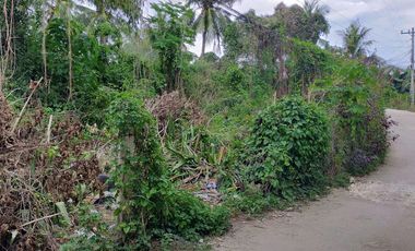 Sale 650sqm clean title lot Tawala Panglao Bohol Walking distance to Alona beach