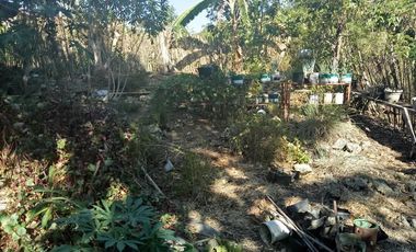150 sqm Clean Title Lot For Sale in Bool Tagbilaran City 4,500 per sqm