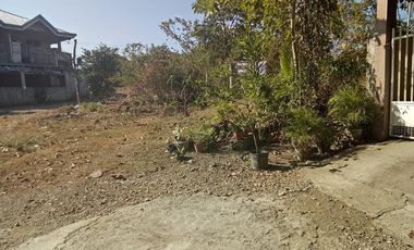 150 sqm Clean Title Lot For Sale in Bool Tagbilaran City 4,500 per sqm