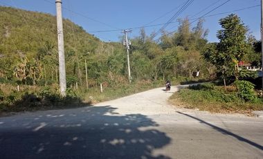 150 sqm Clean Title Lot For Sale in Bool Tagbilaran City 4,500 per sqm