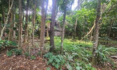 Farm Lot For Sale in Santo Tomas Batangas