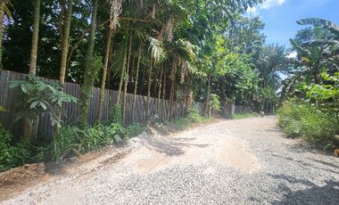 Farm Lot For Sale in Santo Tomas Batangas
