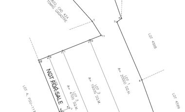 Farm Lot For Sale in Santo Tomas Batangas